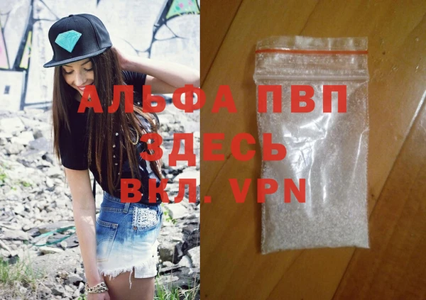 стафф Алексин