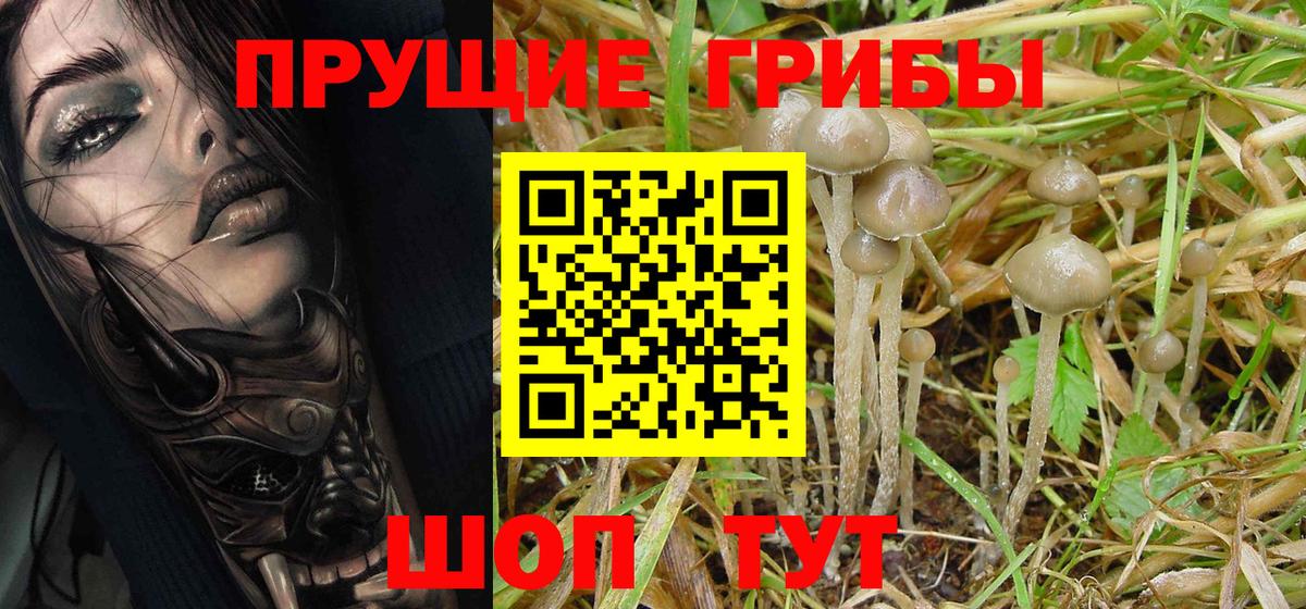 Псилоцибиновые грибы Magic Shrooms Белгород