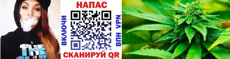 блэк спрут tor  Белгород  Шишки марихуана сатива  купить наркотики сайты 